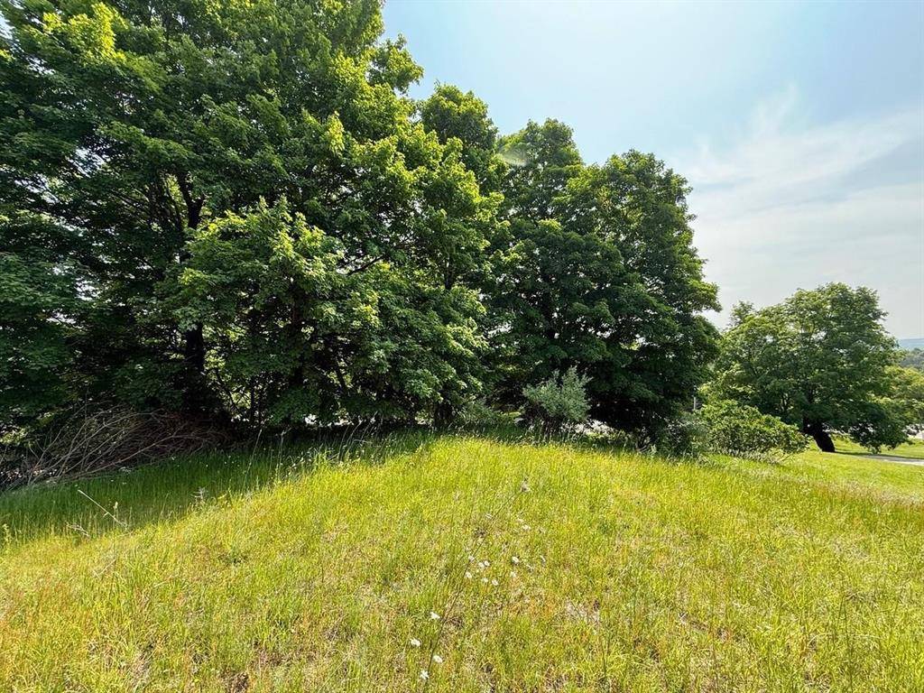 Solon Twp, MI 49621,S Cedar Street