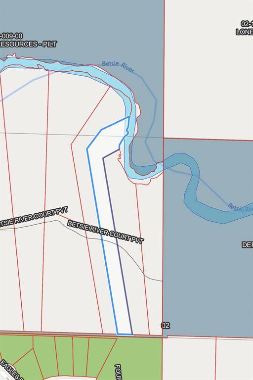 Benzonia Twp, MI 49616,7434 Betsie River Court