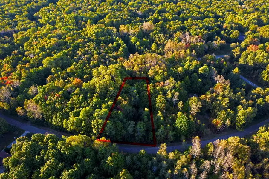 V/L Springdale Lot 41, Star Twp, MI 49730