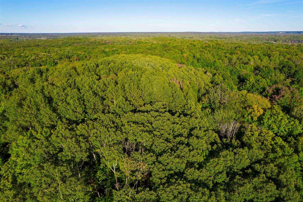 Star Twp, MI 49730,V/L Forestgrove Drive 3 Lots (143,144,145)