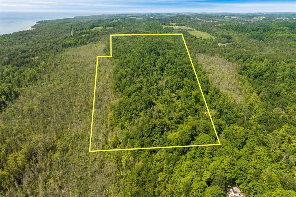 Tyrrell Beach Road, Banks Twp, MI 49729