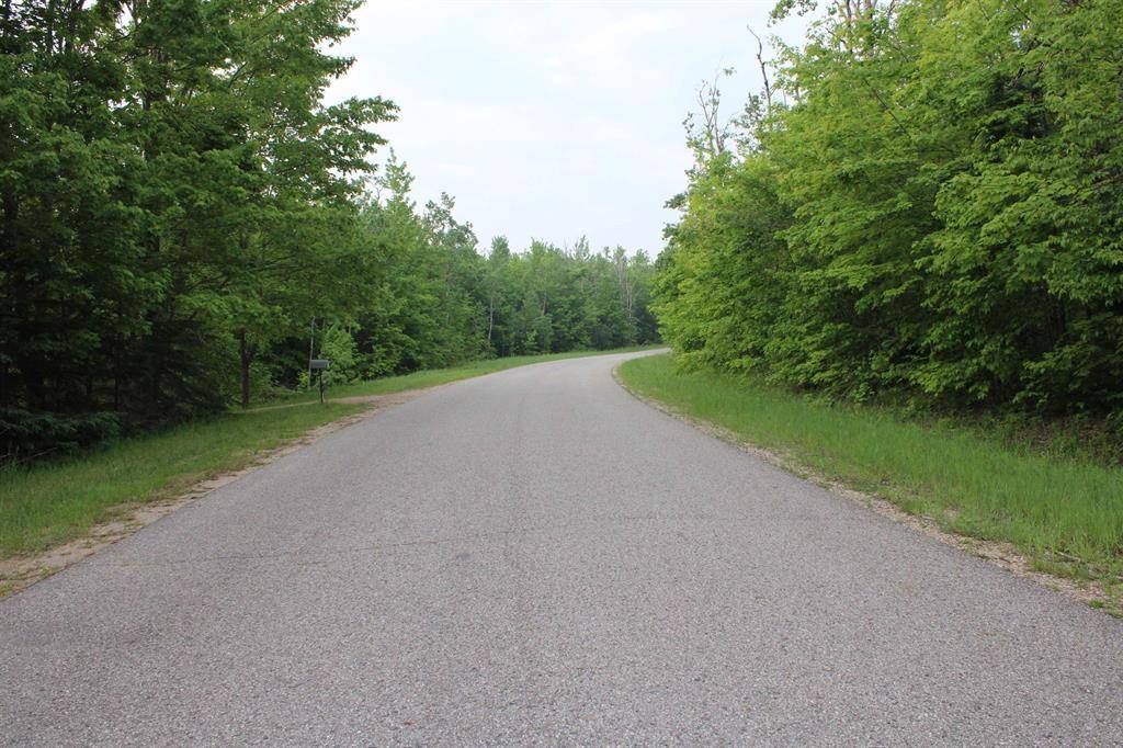 Star Twp, MI 49730,Snowridge Trail Lot: 103