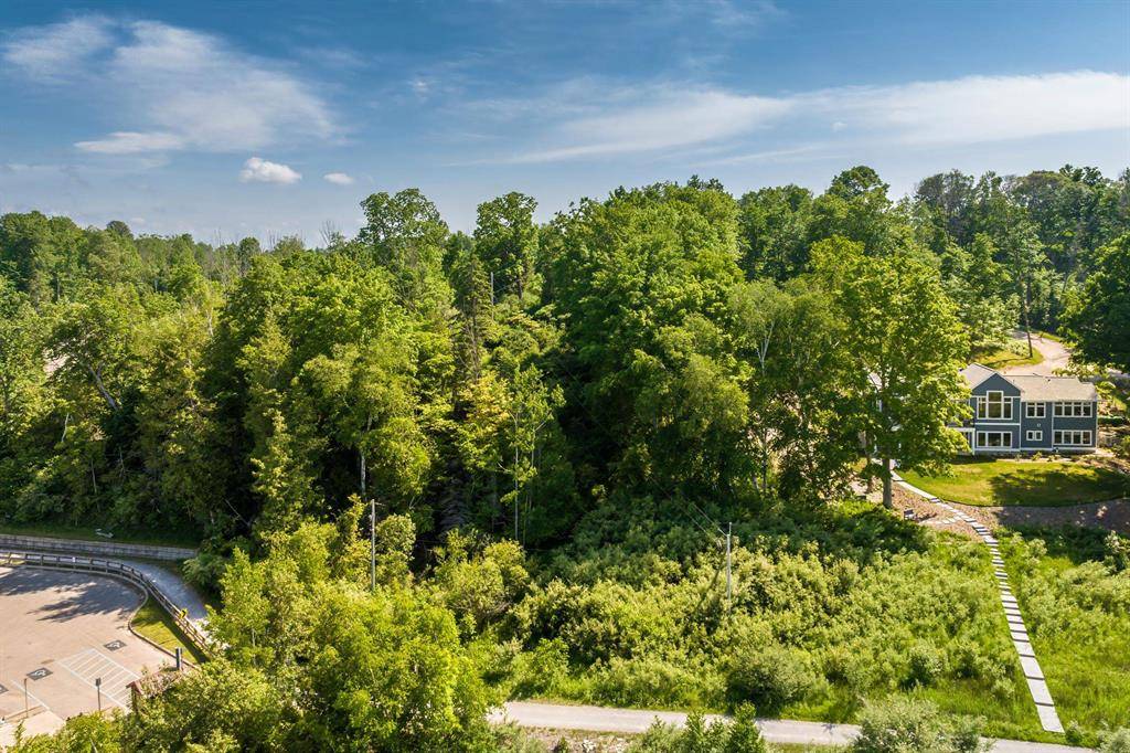 Benzonia Twp, MI 49635,5543 Crystal Lane 00 Wood Lily Lane (PVT)