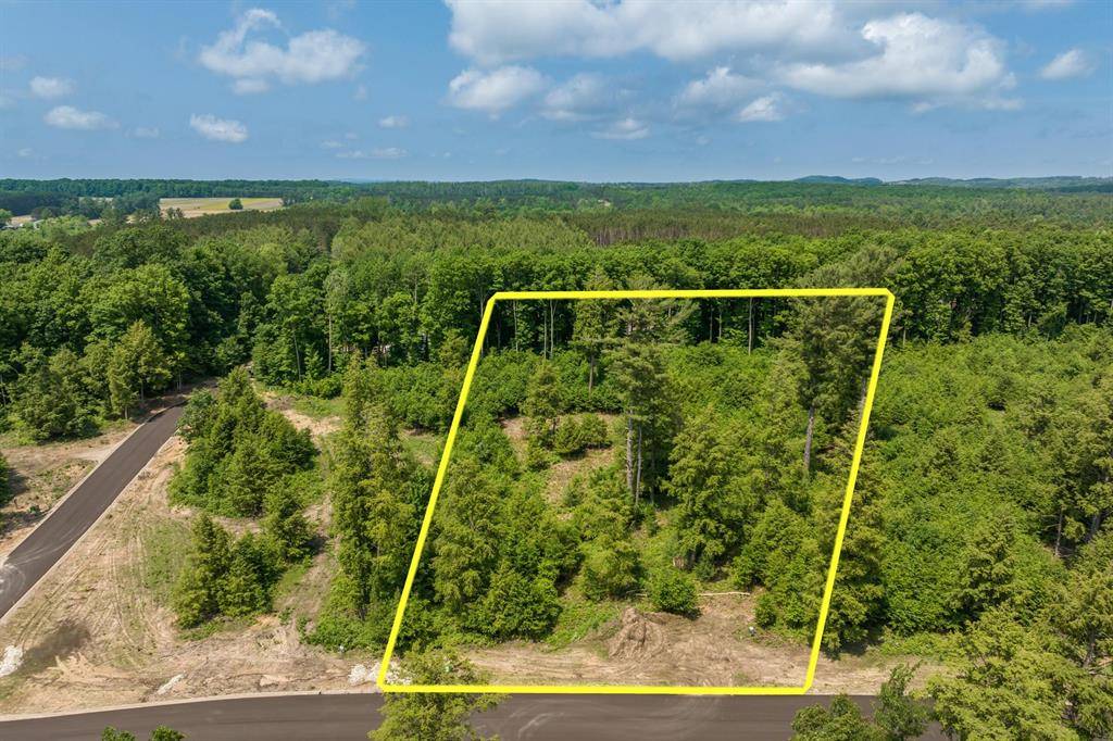 8886 Hemlock Hill Drive Lot: 6, Long Lake Twp, MI 49685