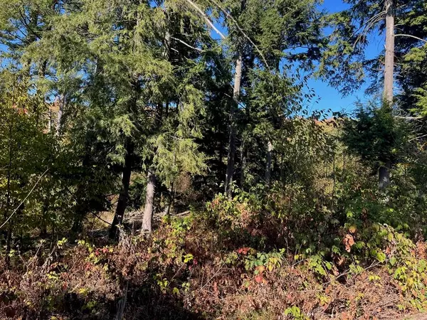 Long Lake Twp, MI 49685,8852 Hemlock Hill Drive Lot: 7