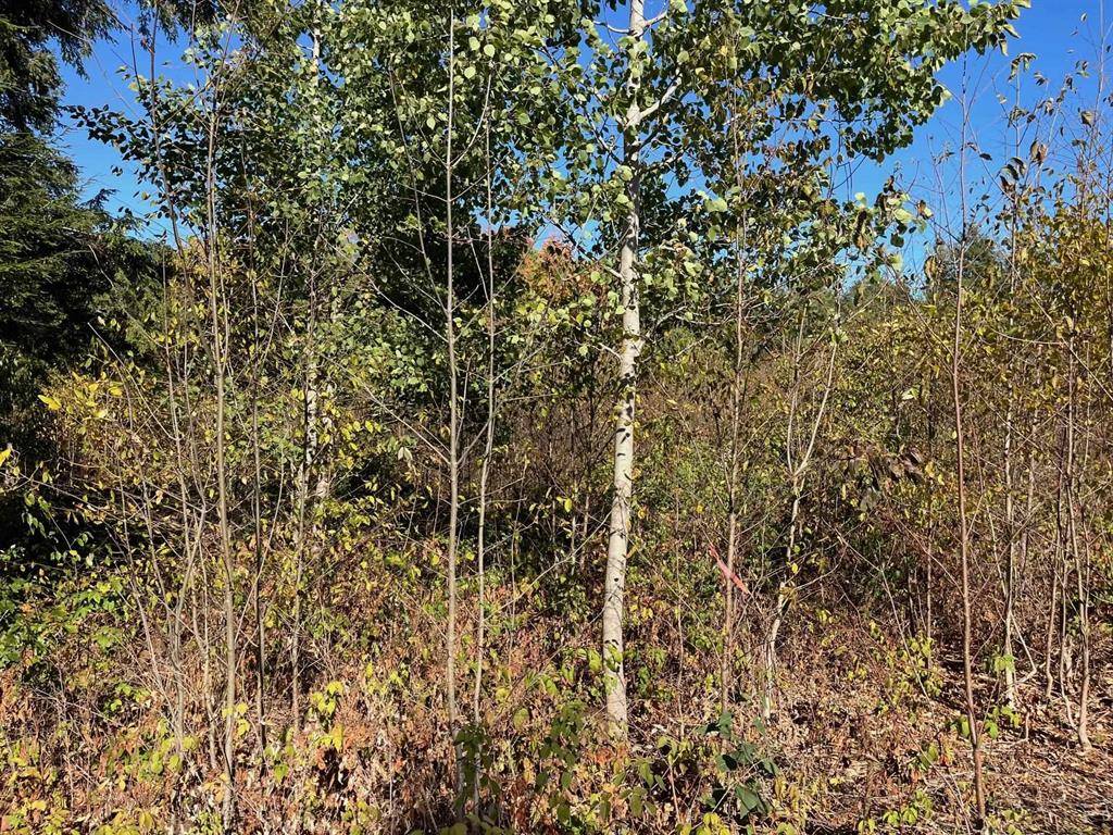 Long Lake Twp, MI 49685,8824 Hemlock Hill Drive Lot: 8