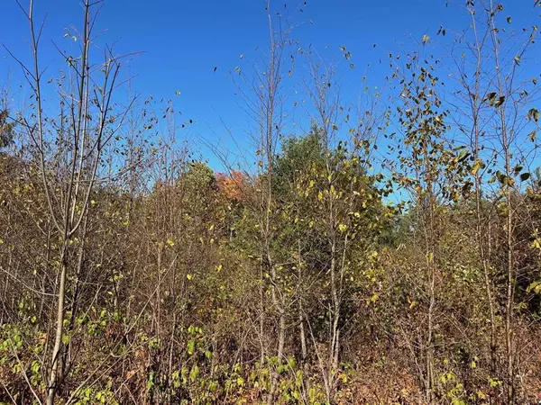 Long Lake Twp, MI 49685,8812 Hemlock Hill Drive Lot: 9