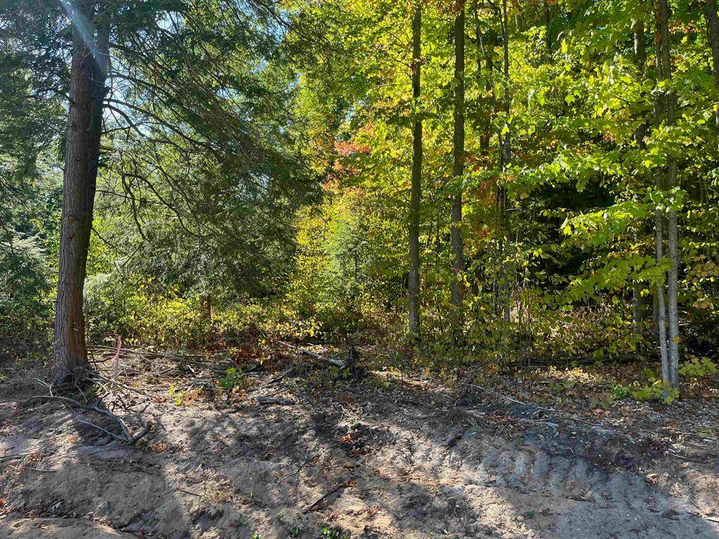 Long Lake Twp, MI 49685,4735 Leaning Birch Drive Lot: 1