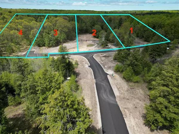 Long Lake Twp, MI 49685,4717 Leaning Birch Drive Lot: 2
