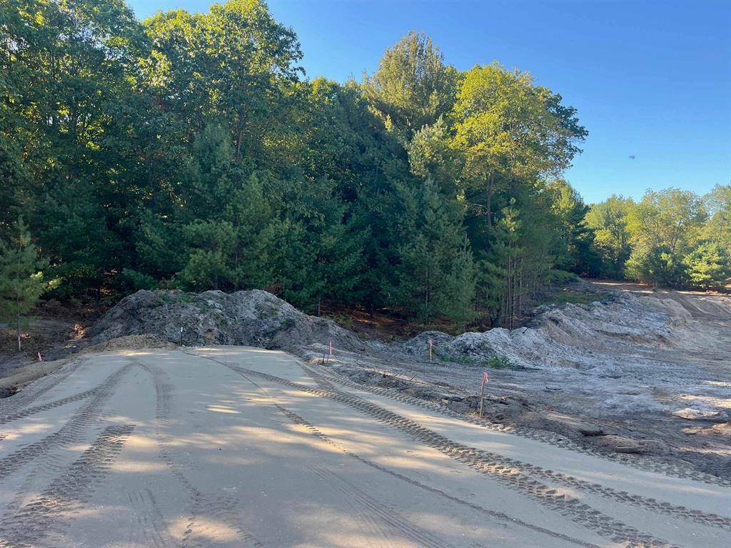 Long Lake Twp, MI 49685,4665 Leaning Birch Drive Lot: 3