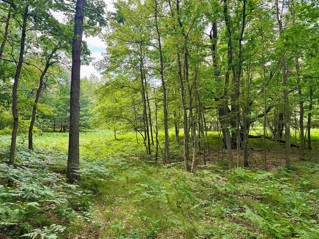 Parcel M Rosted Road, Lake Twp, MI 49651