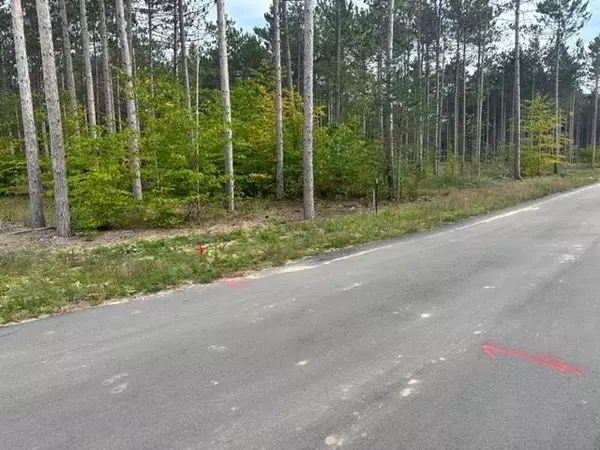 Long Lake Twp, MI 49685,Lot 29 Cascade Trail