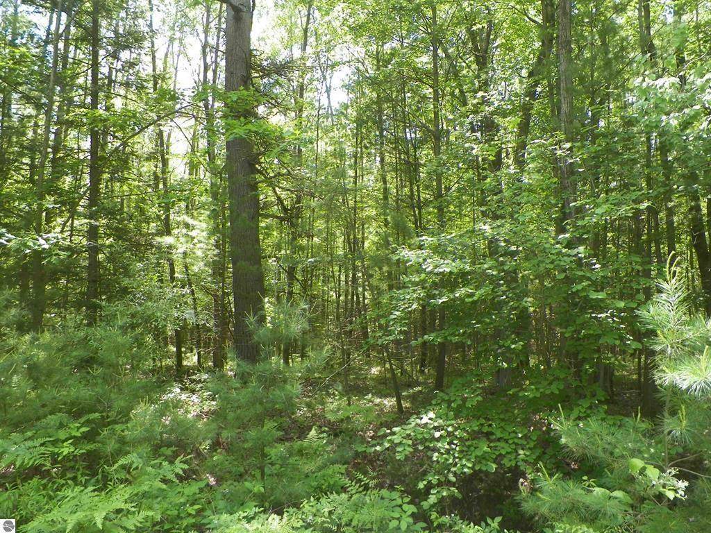 Haring Twp, MI 49601,Lot 47 Bramblewood Drive