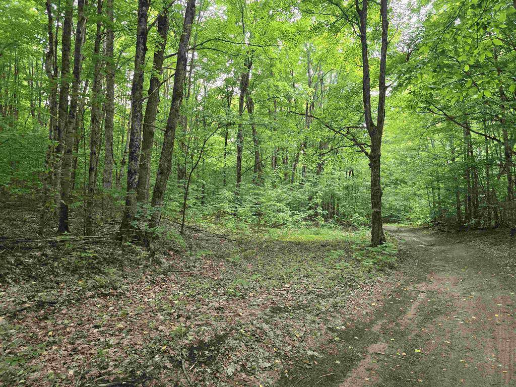 Mancelona Twp, MI 49659,VL Wildwood (10 acres)
