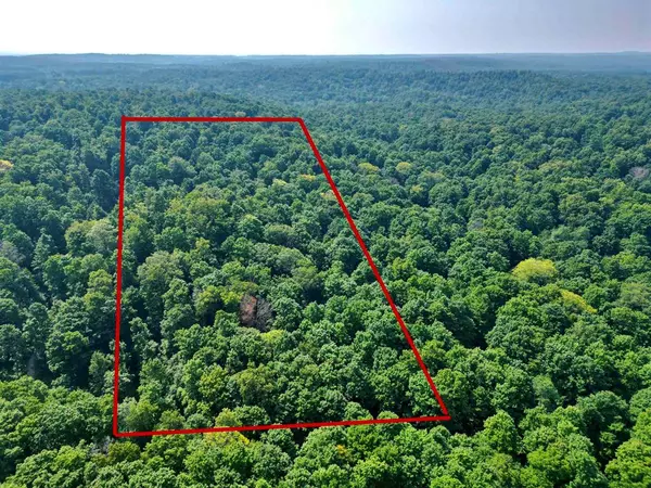 Custer Twp, MI 49659,10 Acres VL Wildwood (10 acres)