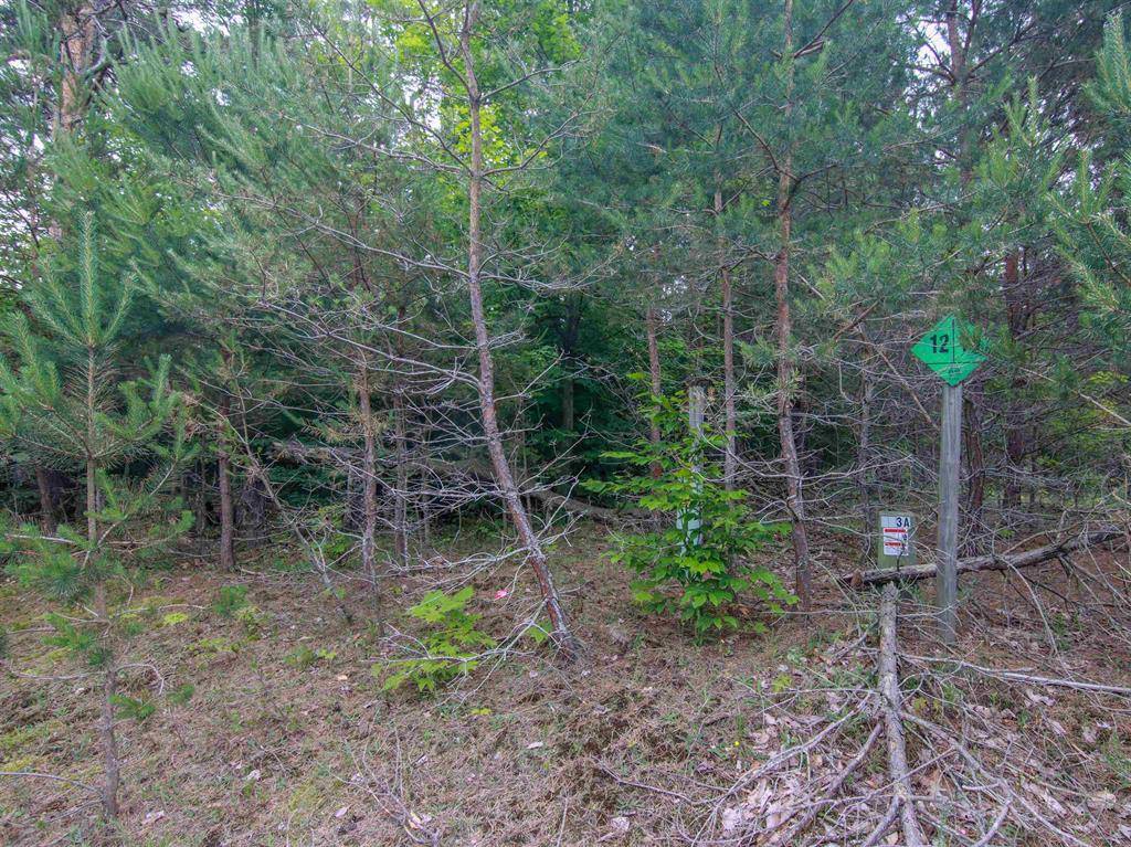 Springdale Twp, MI 49614,000 Winding Creek