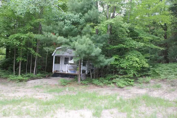 Chestonia Twp, MI 49659,1016 Woodchuck Drive