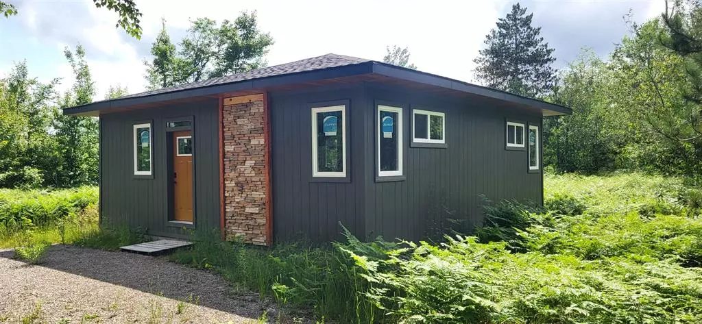 10699 Wyndwood Drive, Mancelona Twp, MI 49659