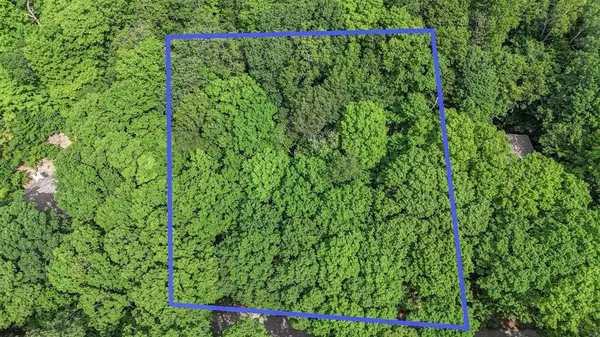 Lake Twp, MI 49617,Lot 4 Spring Valley Road