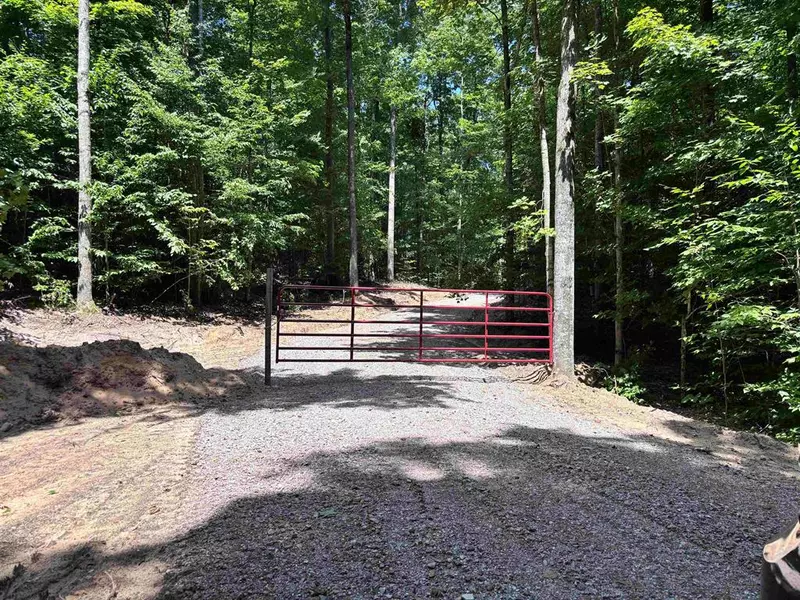 W Elder Road, Custer Twp, MI 49659