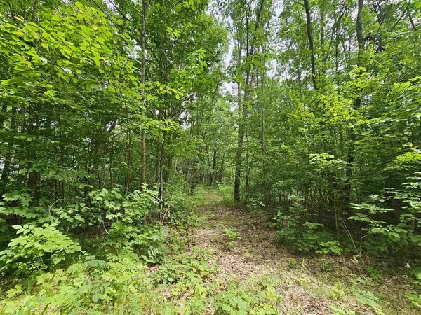 6509 Mareny Drive, Highland Twp, MI 49665