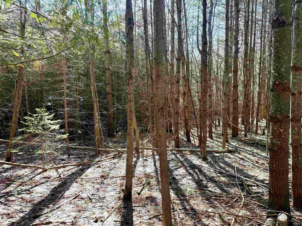 Cleveland Twp, MI 49664,161 W Nachazel Road