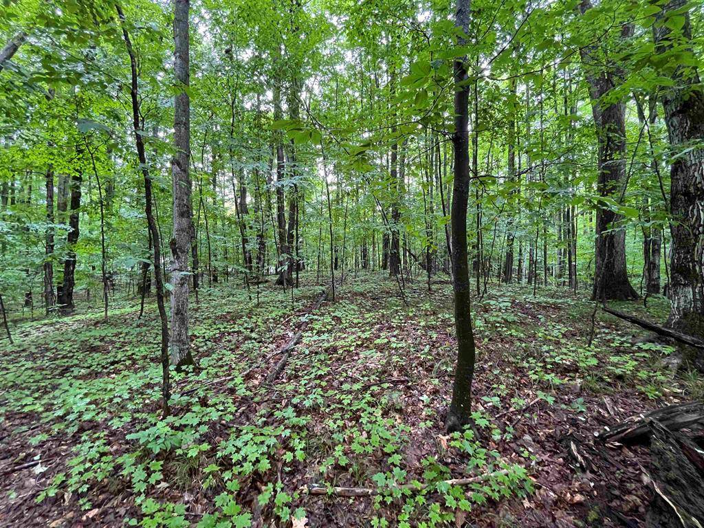 Custer Twp, MI 49615,Lot 9 Staceywood Circle Lot: 9