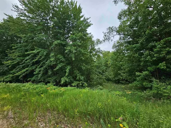 Rose Lake Twp, MI 49665,V/L Canyon Road