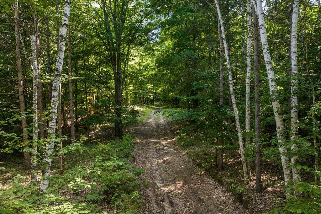 Torch Lake Twp, MI 49648,0000 Hjelte Road