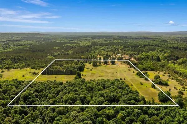 Colfax Twp, MI 49683,3703 S Carmean Road