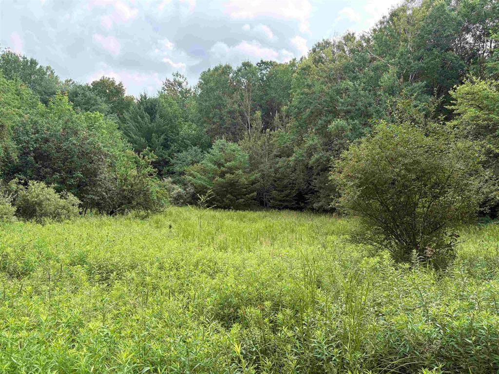 11546 E 3 1/2 Road, Ellsworth Twp, MI 49656