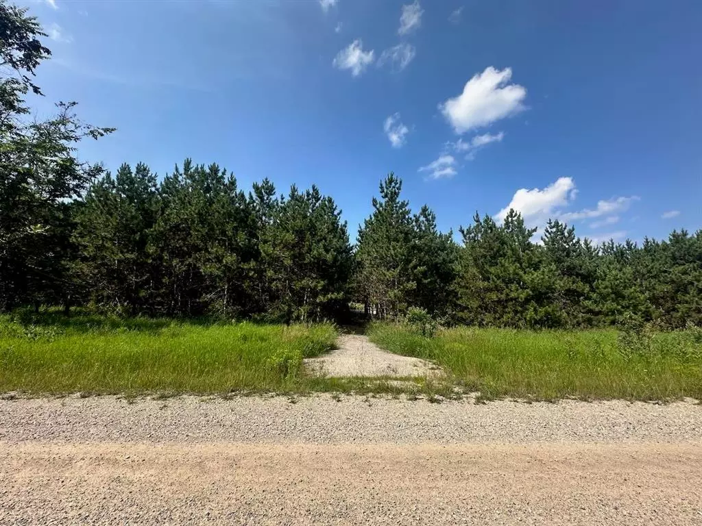 Forest Home Twp, MI 49615,7304 Hemstreet Road
