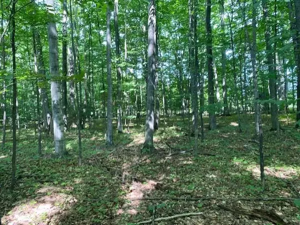 Milton Twp, MI 49676,00 Birch Lake Road