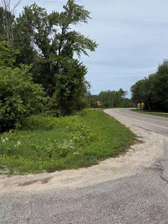 Elmwood Twp, MI 49684,0 E Smedley Road Parcel 1