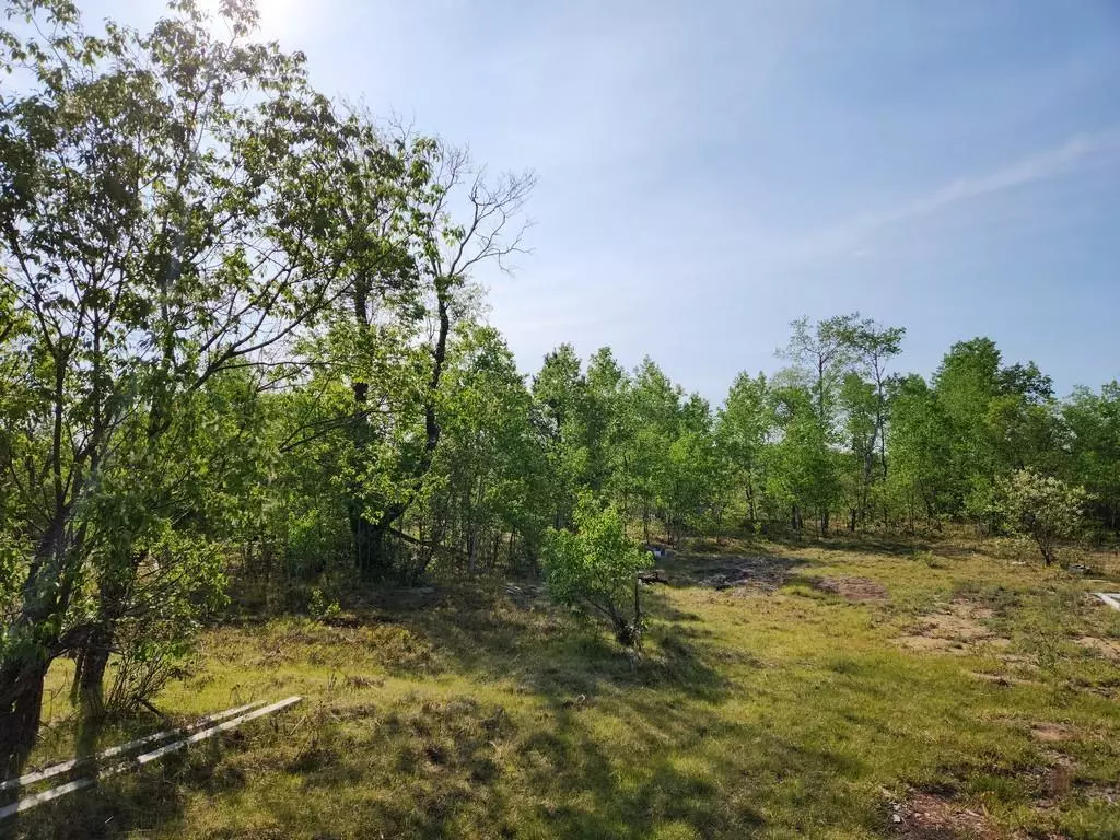 Hayes Twp, MI 49735,4935 Lindsey Lane