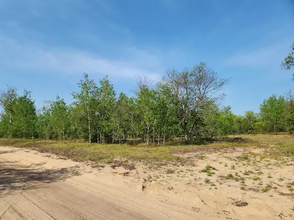 Hayes Twp, MI 49735,4935 Lindsey Lane