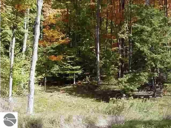 Milton Twp, MI 49648,VL #5 Timber Valley Court