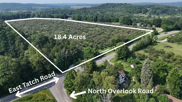 V/L E Tatch Road, Leelanau Twp, MI 49670