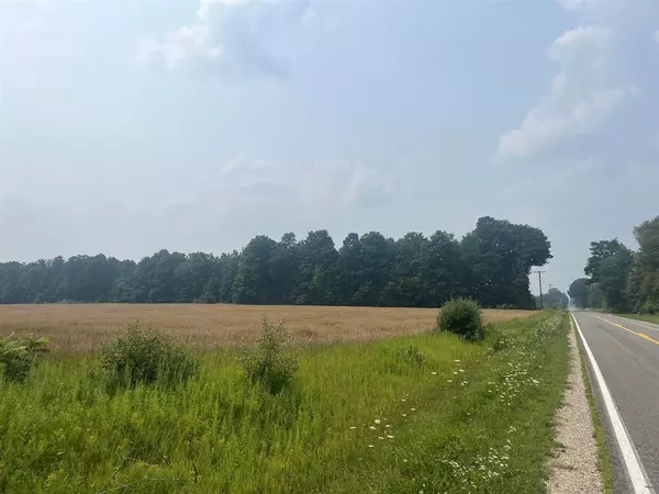 Ramsay Road, Grant Twp, MI 49683
