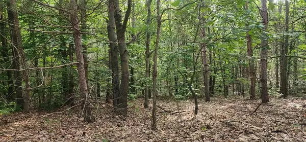 Bloomfield Twp, MI 49663,00 W Phelps Road