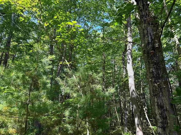 Blue Lake Twp, MI 49659,11755 NE Eagle Lane