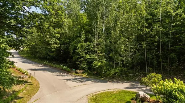 Peninsula Twp, MI 49686,Part of 1000 Camino Maria