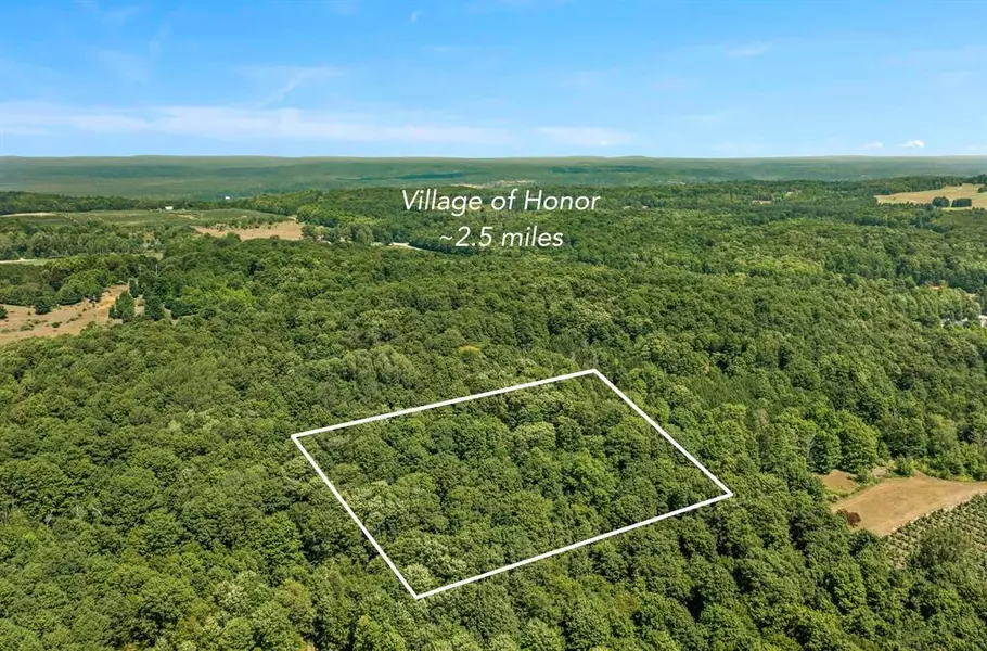 0 Gilstone Road Vande Lane (Private Road), Benzonia Twp, MI 49617