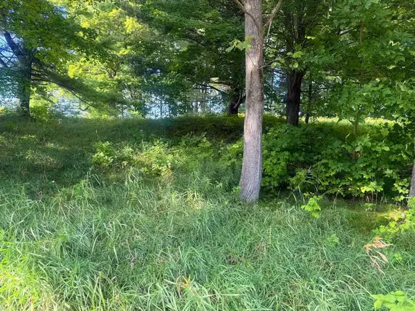 Almira Twp, MI 49650,Lot #10 Kadi Lane Lot: 10