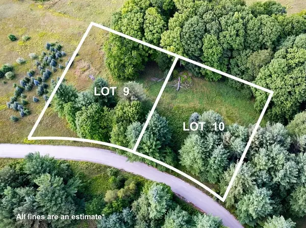 Almira Twp, MI 49650,Lot #9 Kadi Lane Lot: 9