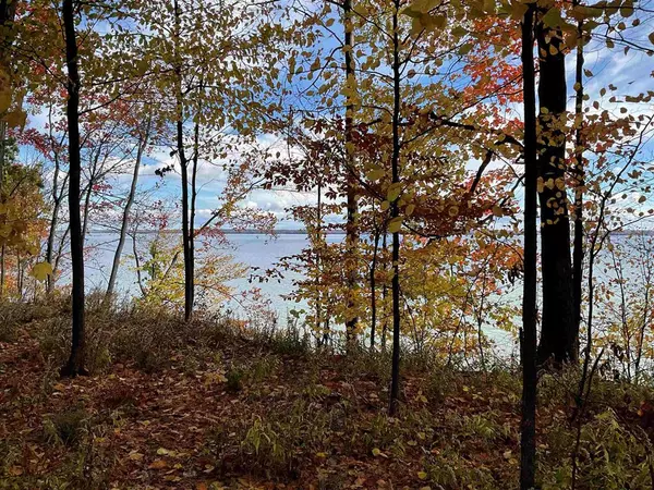 Bingham Twp, MI 49682,S Lee Point Road