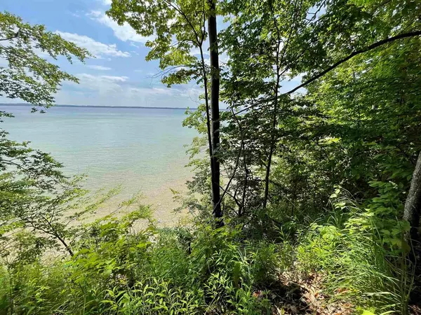 Bingham Twp, MI 49682,S Lee Point Road
