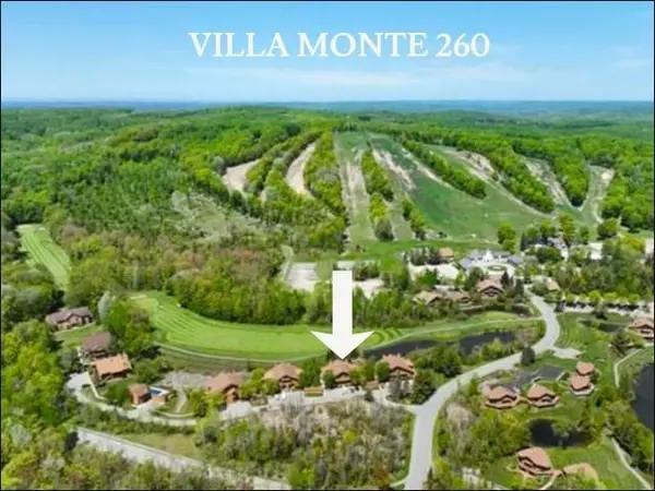 6658 Schuss Mountain Lane 3260, Custer Twp, MI 49659