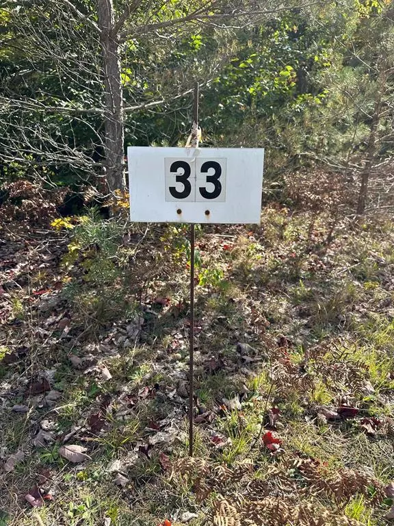 Springdale Twp, MI 49683,000, Lot 33 Nuthatch Drive