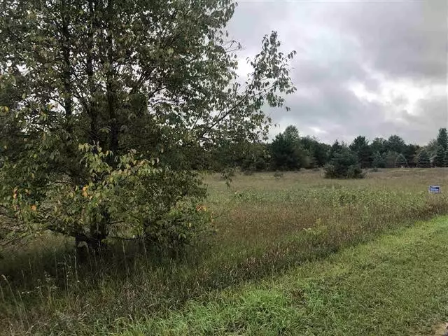 1027 and 1029 Pyrenees Drive Lot: 197(8), Sherman Twp, MI 48893